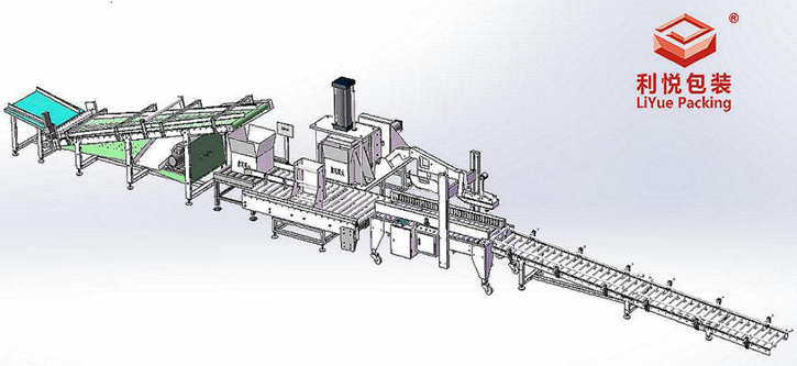利悦黄花菜自动装箱机
