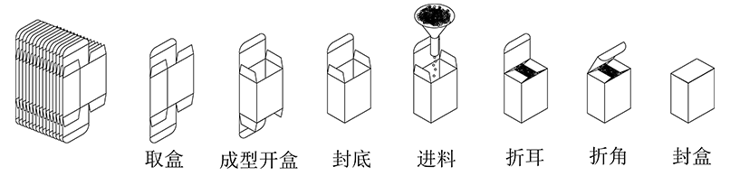 利悦自动数数立式装盒机包装流程示意图